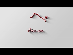 Cuerno del zapato HY-421